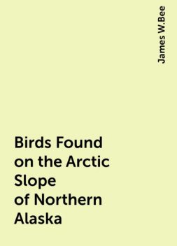 Birds Found on the Arctic Slope of Northern Alaska, James W.Bee