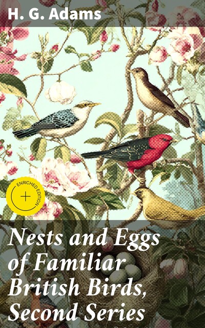 Nests and Eggs of Familiar British Birds, Second Series, H.G. Adams