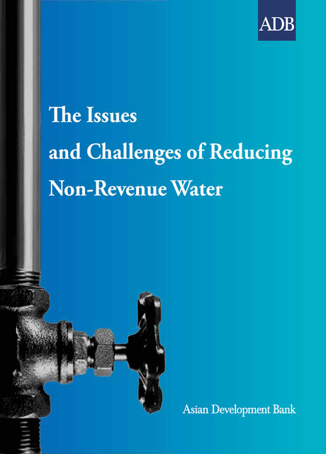 The Issues and Challenges of Reducing Non-Revenue Water, Roland Liemberger, Rudolf Frauendorfer