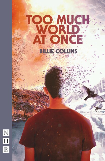 Too Much World at Once, Billie Collins