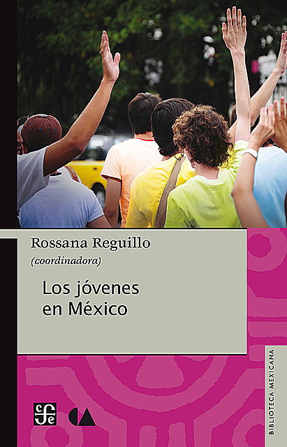 Los jóvenes en México, Rossana Reguillo