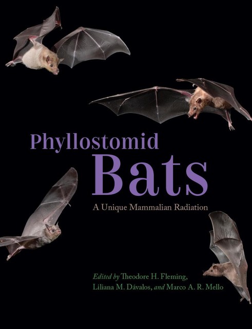 Phyllostomid Bats, Theodore Fleming, Liliana M. Dávalos, Marco A.R. Mello