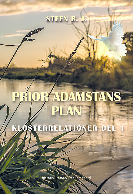 Prio Adamstans plan, Steen B.J.