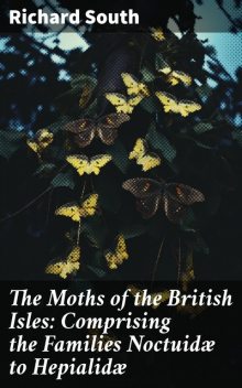 The Moths of the British Isles, Second Series Comprising the Families Noctuidæ to Hepialidæ, Richard South