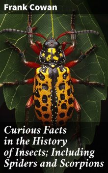 Curious Facts in the History of Insects; Including Spiders and Scorpions, Frank Cowan