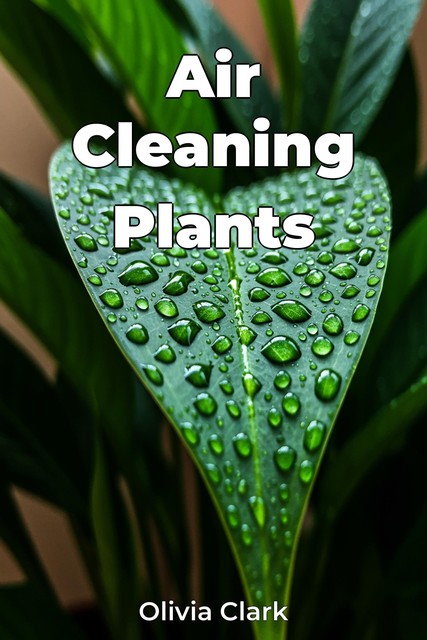 Air Cleaning Plants, Olivia Clark