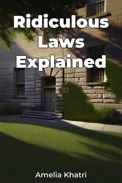 Ridiculous Laws Explained, Amelia Khatri