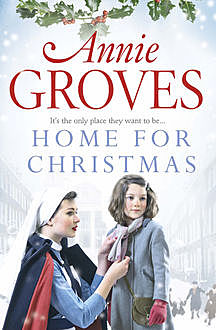 Home for Christmas, Annie Groves