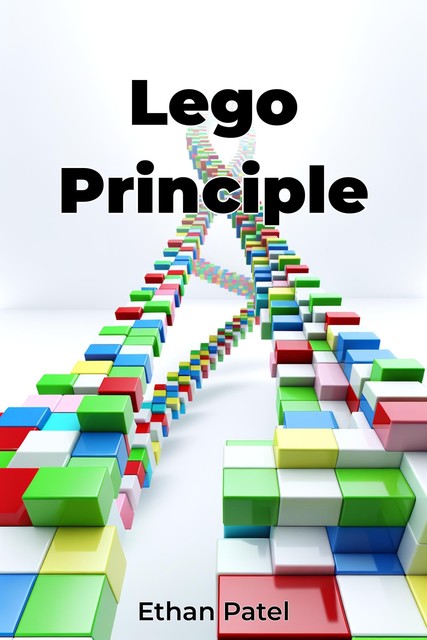 Lego Principle, Ethan Patel