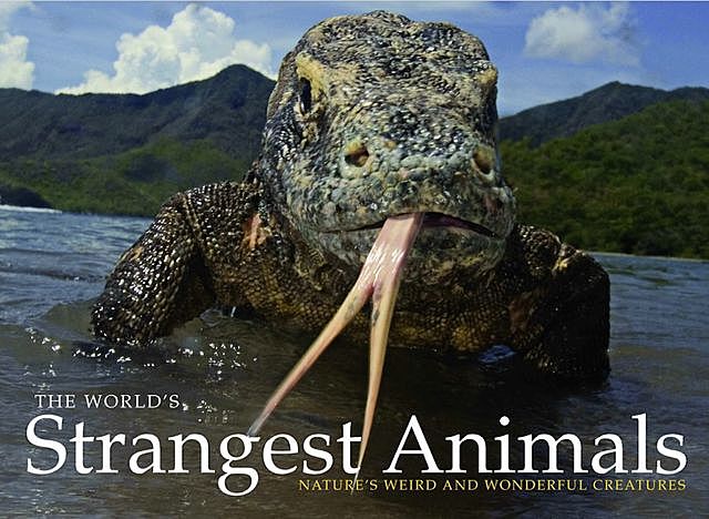 The World's Strangest Animals, Paula Hammond