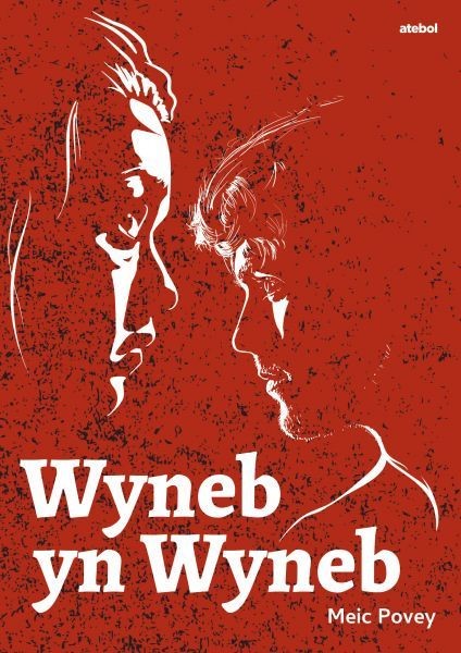 Wyneb yn Wyneb, Meic Povey