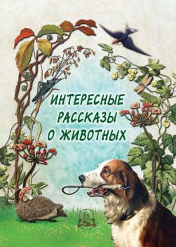 Интересные рассказы о животных, Н.П. Рудакова