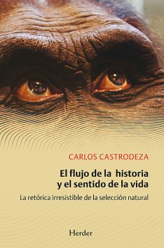 El flujo de la historia y el sentido de la vida, Carlos Castrodeza Ruíz de la Cuesta