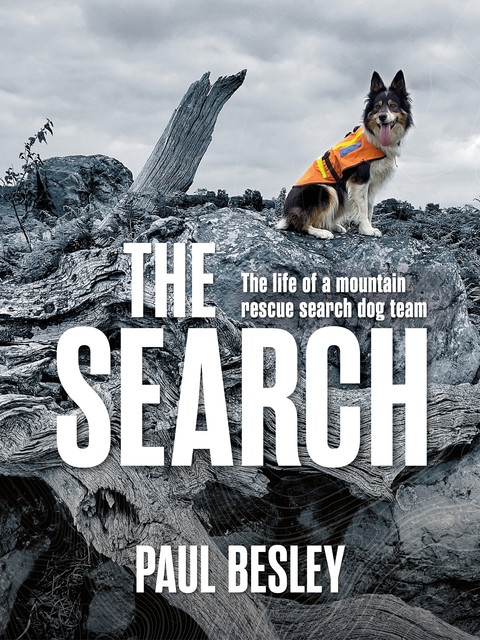 The Search, Paul Besley