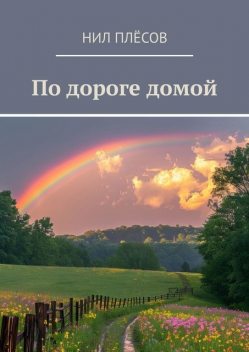 По дороге домой, Нил Плёсов