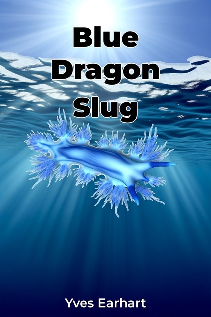 Blue Dragon Slug, Yves Earhart