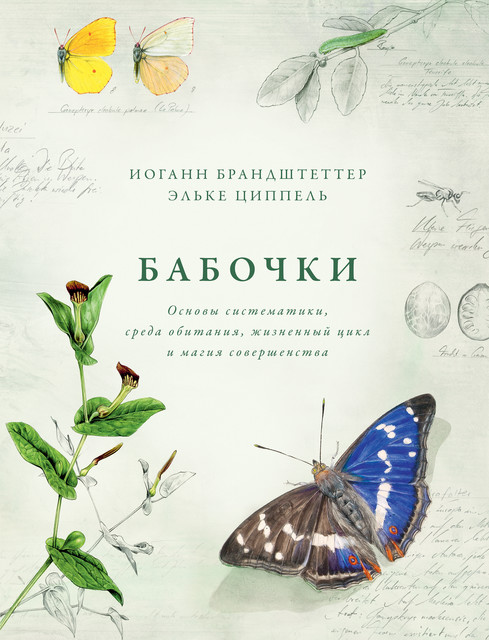 Бабочки. Основы систематики, среда обитания, жизненный цикл и магия совершенства, Иоганн Брандштеттер, Эльке Циппель