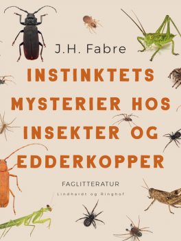 Instinktets mysterier hos insekter og edderkopper, J.H. Fabre