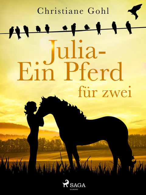 Julia – Ein Pferd für zwei, Christiane Gohl