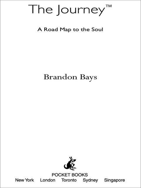 The Journey, Brandon Bays