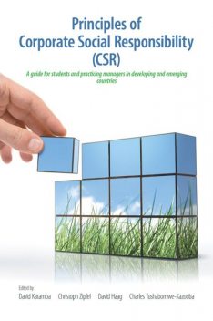Principles of Corporate Social Responsibility (CSR), David Katamba