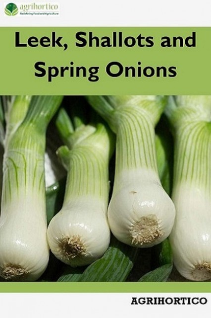 Leek, Shallots and Spring Onions, Agrihortico CPL