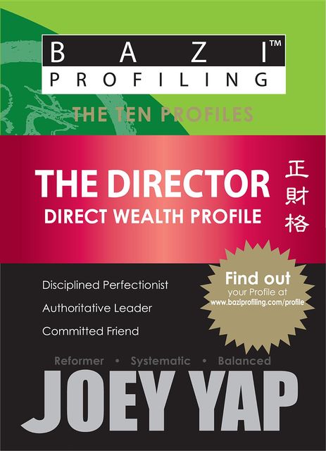 The Ten Profiles - The Director (Direct Wealth Profile), Yap Joey