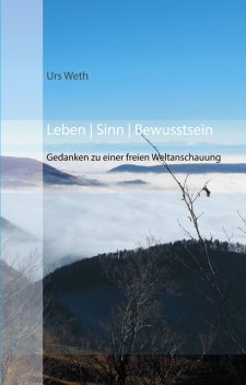 Leben Sinn Bewusstsein, Urs Weth