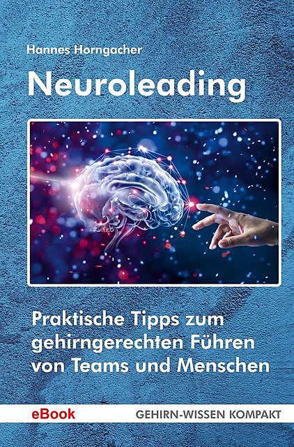 Neuroleading, Hannes Horngacher