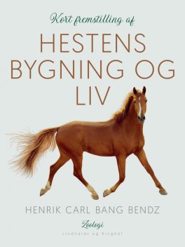 Kort fremstilling af hestens bygning og liv, Henrik Carl Bang Bendz