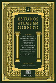 Estudos atuais em Direito, Américo Braga Júnior