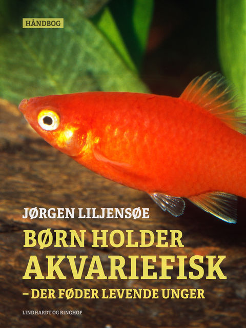 Børn holder akvariefisk – der føder levende unger, Jørgen Liljensøe