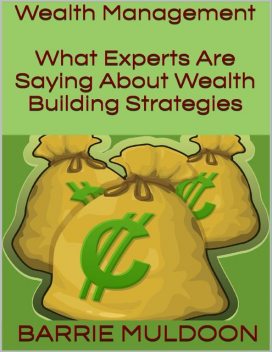 Wealth Management: What Experts Are Saying About Wealth Building Strategies, Barrie Muldoon
