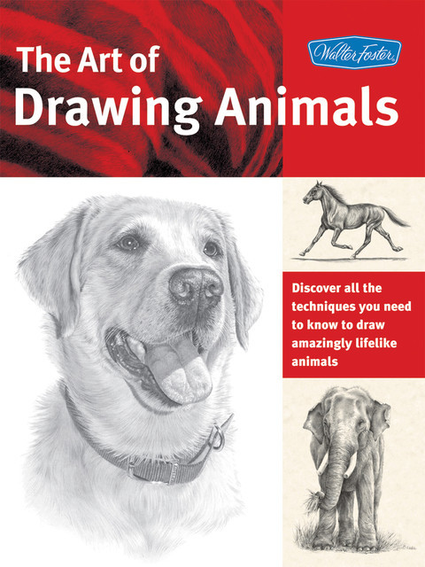 The Art of Drawing Animals, Nolon Stacey, Linda Weil, Cindy Smith, Debra Kauffman, Patricia Getha