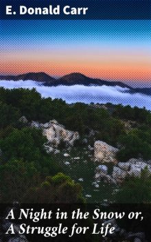 A Night in the Snow, Edmund Donald Carr