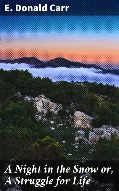 A Night in the Snow, Edmund Donald Carr