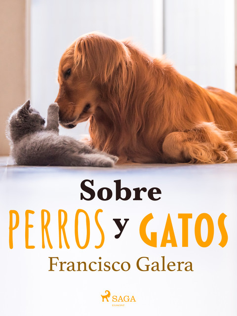 Sobre perros y gatos, Francisco Galera