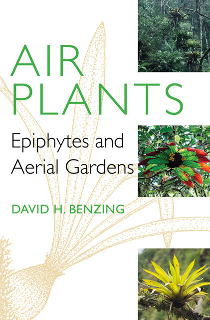 Air Plants, David H. Benzing