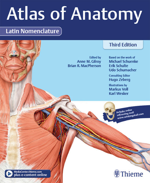 Atlas of Anatomy, 3e Latin, Gilroy Anne, Michael Schuenke, Brian R MacPherson