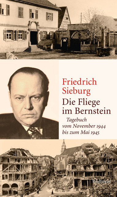 Die Fliege im Bernstein, Friedrich Sieburg