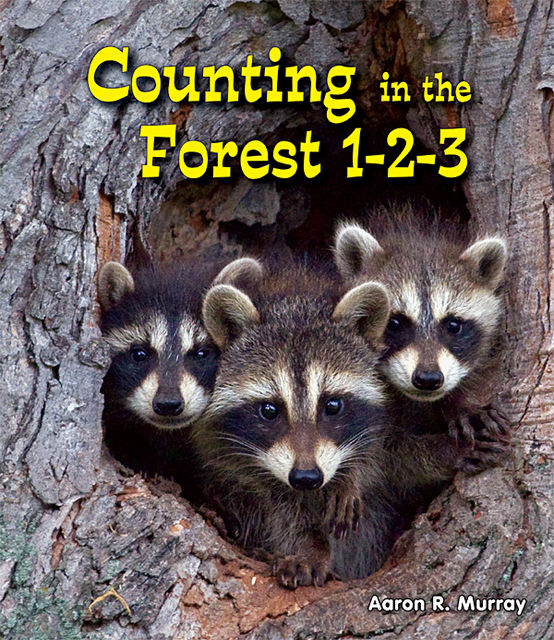 Counting in the Forest 1–2–3, Aaron R.Murray