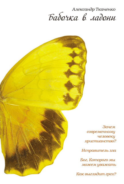 Бабочка в ладони, Александр Борисович Ткаченко