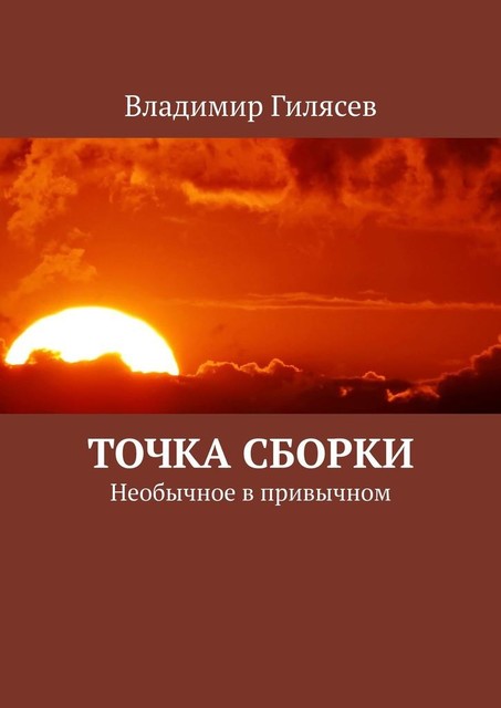 Точка сборки. Необычное в привычном, Владимир Гилясев