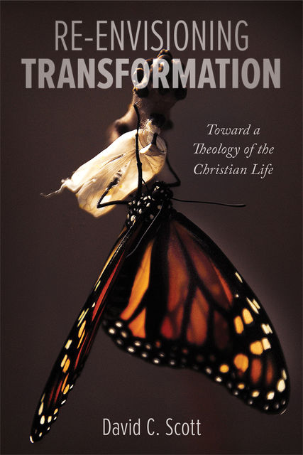 Re-Envisioning Transformation, David Scott