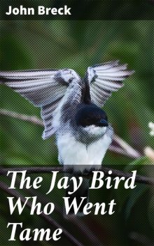 The Jay Bird Who Went Tame, John Breck