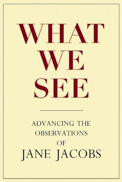 What We See, Edited by Stephen A. Goldsmith, Lynne Elizabeth