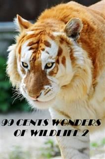 99 cent Wonders of Wildlife, Nature Childrens eBooks