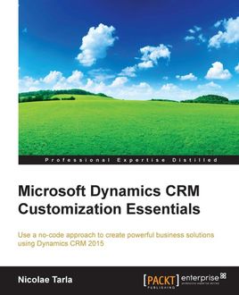 Microsoft Dynamics CRM Customization Essentials, Nicolae Tarla