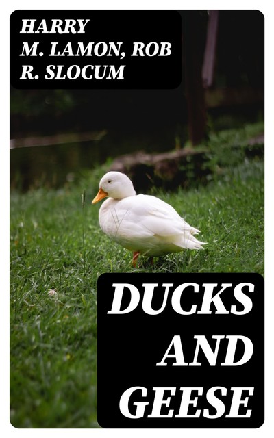 Ducks and Geese, Harry M.Lamon, Rob R. Slocum