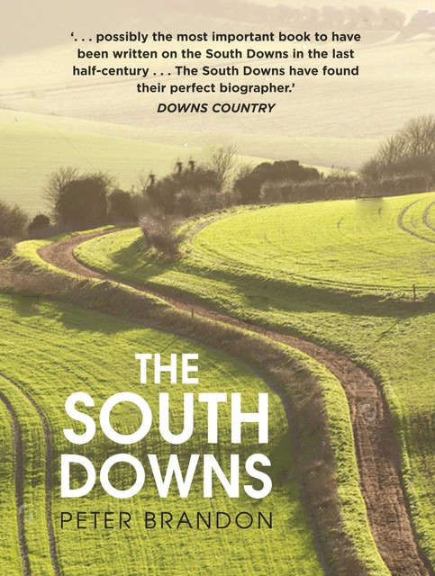 The South Downs, Peter Brandon